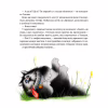 Книга Морськосвинський детектив - Iван Андрусяк Vivat (9789669821508) - Image 10