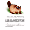 Книга Морськосвинський детектив - Iван Андрусяк Vivat (9789669821508) - Image 12