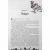 Книга Безсила - Лорен Робертс Readberry (9786170991065) - Image 5