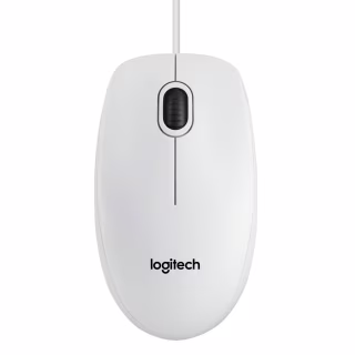 Мышка Logitech B100 White (910-003360)