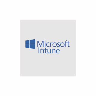 Офисное приложение Microsoft Intune Device P1Y Annual License (CFQ7TTC0LCH4_0004_P1Y_A)