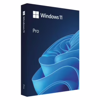 Операційна система Microsoft Windows 11 Pro англ, FPP на USB носії (HAV-00164)