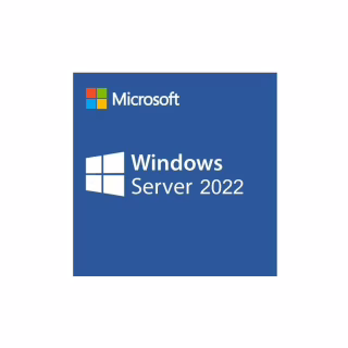ПЗ для сервера Microsoft SQL Server 2025 - 1 User CAL Commercial, Perpetual (DG7GMGF0VNHV_0002)