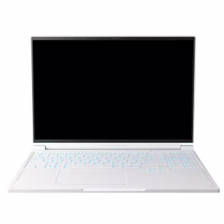 Ноутбук Thunderobot RS16 (RS16-R9985HX57TE1Q240ARC)