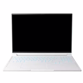 Ноутбук Thunderobot RS16 (RS16-I9139HX56E1Q240ARC)