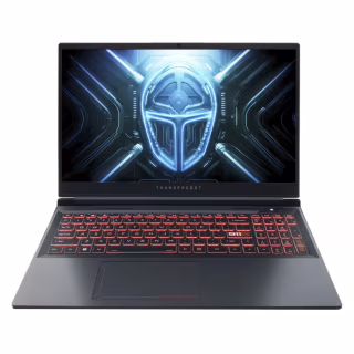 Ноутбук Thunderobot R16 (R16-i7136HX56C1Q180RG)