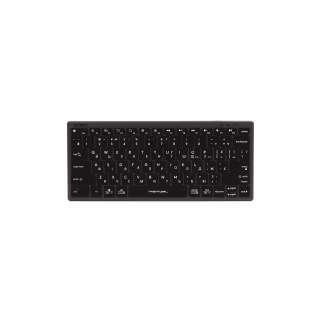 Клавіатура A4Tech FX61 USB Grey (4711421976411)