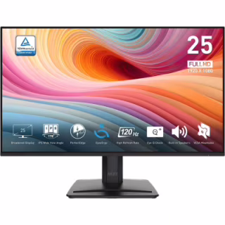 Монітор MSI PRO MP251 E2