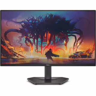 Монітор Dell SE2425HG (210-BSNR)