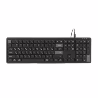 Клавіатура A4Tech FX55 USB UA Black (4711421002417)