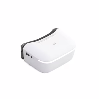 Очки FPV CADDXFPV Walksnail Avatar HD Goggles L (WN02-FP004)