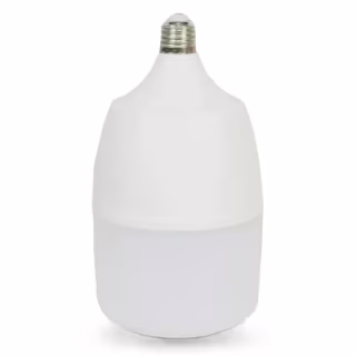 Лампочка Lightwell T100 30W E27+E27/E40 RING
