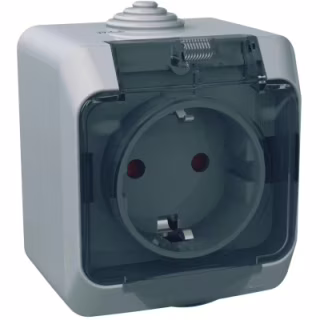 Розетка Schneider Electric CEDAR 2К+С зі шторками та прозорою кришкою серая IP44 (WDE000643)