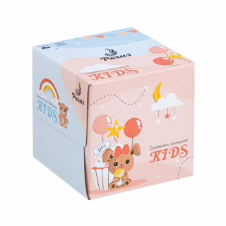 Серветки косметичні Parus 2 шари 80 шт. (4820205440465)