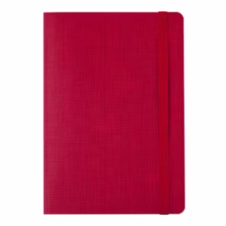 Книга записная Buromax COLOR TUNES А5 96 листов линия, красный (BM.295200-05)