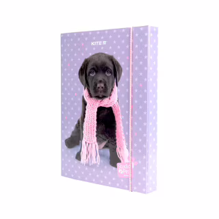 Папка для тетрадей Kite В5 на резинке Studio Pets, картон (SP23-210)