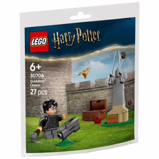 Конструктор LEGO Harry Potter Урок з Квідичу (30706)