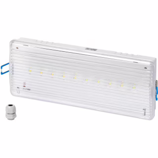 Светильник Delux REL-201 10 LED 2W (90020530)