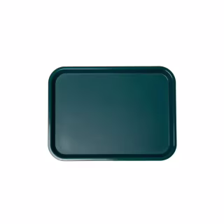Поднос FoREST 45,6 х 35,6 см Зелена (594183)