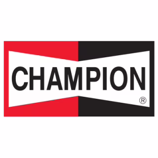 Повітряний фільтр для автомобіля Champion CAF100795P