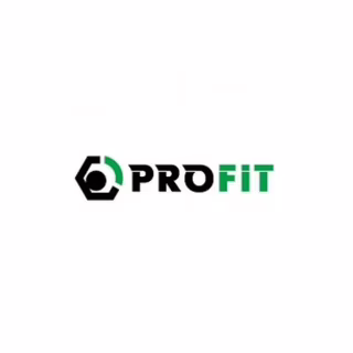 Повітряний фільтр для автомобіля Profit 1512-4289