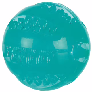 Іграшка для собак Trixie Denta Fun М'яч d 6 см (4011905336800)
