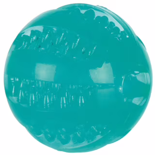 Игрушка для собак Trixie Denta Fun Мяч d 6 см (4011905336800)