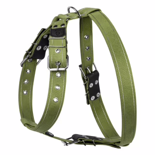 Шлей для собак Collar для больших собак N3 72-94 см зеленая (0647)