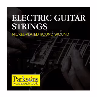 Струны для гитары Parksons Electric (10-46) (S1046)