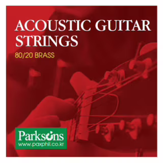 Струны для гитары Parksons Acoustic L (12-52) (S1252)