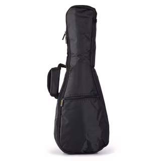 Чехол для гитары RockBag RB 20001 B