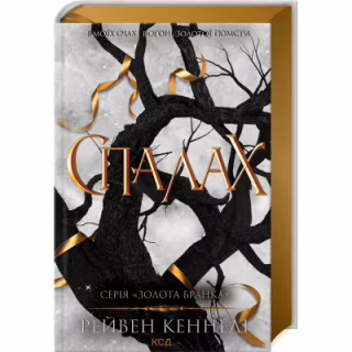 Книга Спалах - Рейвен Кеннеді КСД (9786171507975)