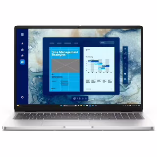 Ноутбук Dell Pro 16 (BTO107_PC16250_UA)