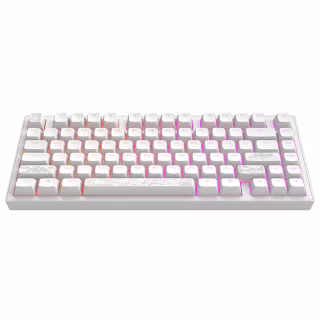 Клавіатура Dark Project ALU81 Terra Nostra PBT RGB Mech G3MS Moonstone White (DPKB_NOSTRA_81_ANSI_WHITE_UA)