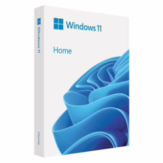 Операционная система Microsoft Windows 11 Home англ, FPP на USB носії (HAJ-00089)