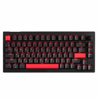 Клавіатура Lemokey Keychron X4 Brown Red LED USB Black (X4-A3-UA)