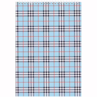 Блокнот Buromax spiral top, А5, 48sheets, square, blue (BM.2470-02)