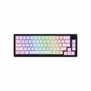 Клавіатура Hator Skyfall 65 MAG ULTRA 8K Aurum Ice RGB USB UA Black/White (HTK1860UA)