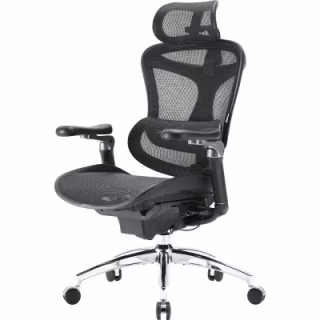 Офісне крісло Sihoo DORO C300 Pro Mesh Black (DORO-C300-PRO-M101)