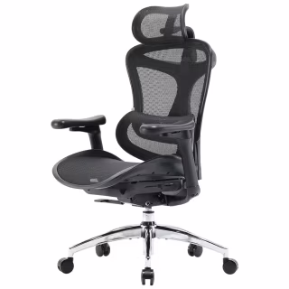 Офисное кресло Sihoo DORO C300L Mesh Black (DORO-C300L-A3-101)