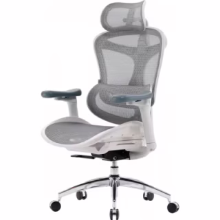 Офисное кресло Sihoo DORO C300L Mesh White (DORO-C300L-A3-102)