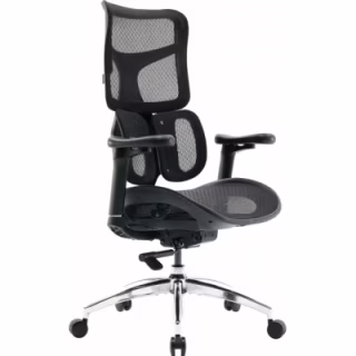 Офісне крісло Sihoo DORO S100 Mesh Black (S100-M301)