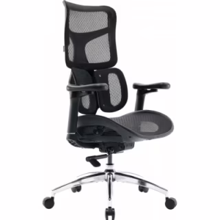 Офисное кресло Sihoo DORO S100 Mesh Black (S100-M301)