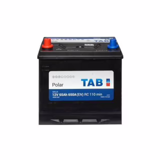 Аккумулятор автомобильный TAB 65 Ah/12V Polar S Euro Japan (246 865)