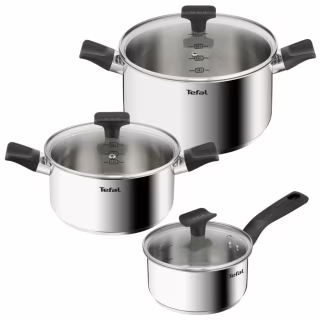 Набор посуды Tefal Delicious, 6предметів, нержавіюча сталь, бакеліт, скло (B925S655)