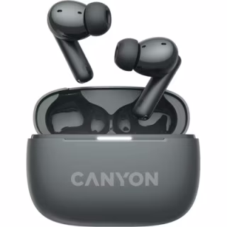 Наушники Canyon TWS-10 OnGo ANC ENC Graphite (CNS-TWS10B)