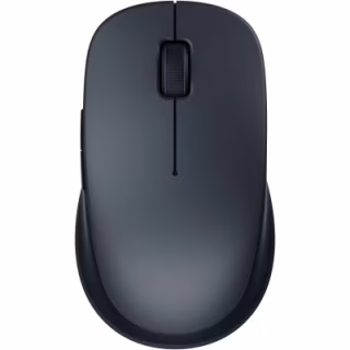 Мышка Xiaomi Dual-mode Wireless Mouse 2 Black (BHR8850GL) (1122318)