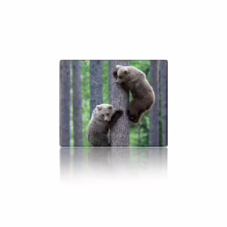 Килимок для мишки Voltronic Two Bears (YT-CAT11)