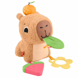 Розвиваюча іграшка Fisher-Price Капібара (HYR54)