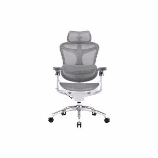Офісне крісло Sihoo DORO C300 Pro Mesh White (DORO-C300-PRO-M102)